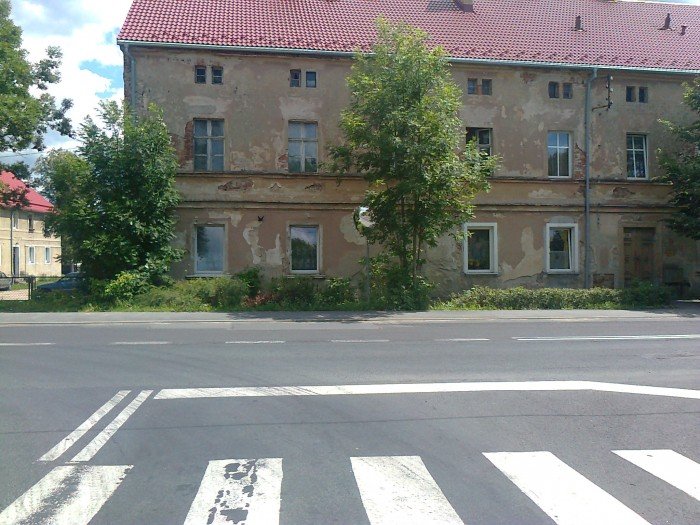 czytelnicy-w-miescie-zarastaja-znaki-drogowe-foto-41054