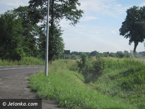 zarosniete-skrzyzowanie-jest-zagrozeniem-a-na-wykoszenie-chwastow-nie-ma-pieniedzy-41067