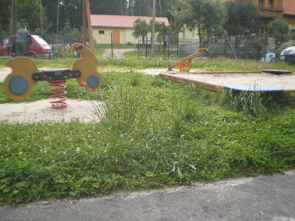 na-placu-zabaw-w-michaowicach-kroluja-chaszcze-foto-41076