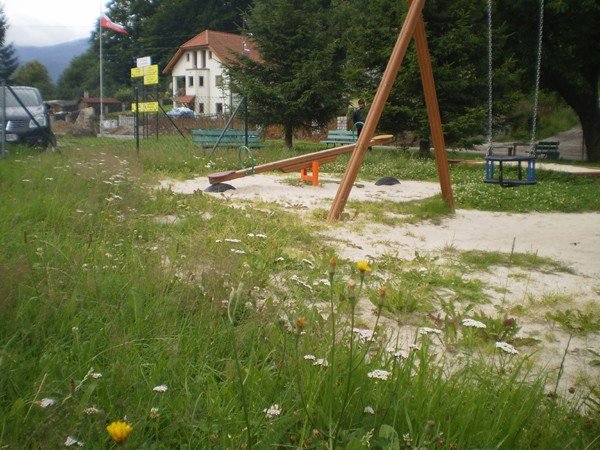 na-placu-zabaw-w-michaowicach-kroluja-chaszcze-foto-41076