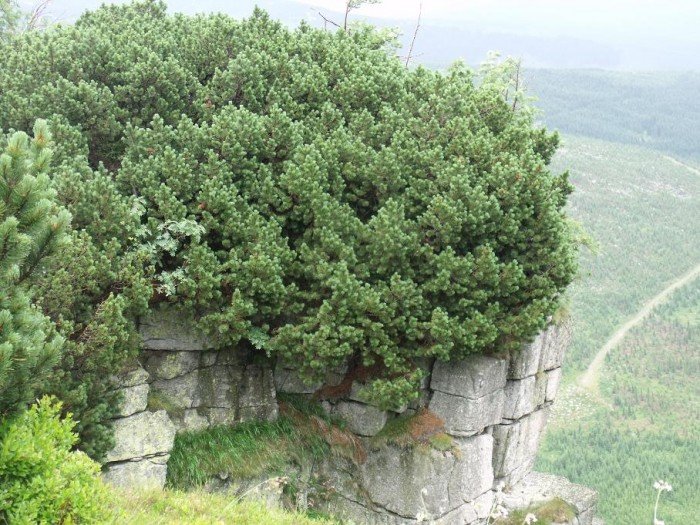 to-dopiero-bya-wycieczka-warto-poznac-te-trase-foto-41083