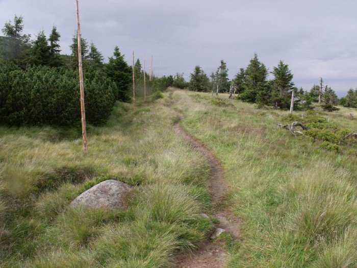 to-dopiero-bya-wycieczka-warto-poznac-te-trase-foto-41083