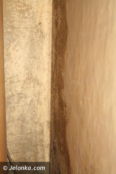 grzyb-przykryja-styropianem-w-ramach-rewitalizacji-budynku-foto-41130