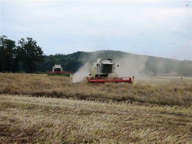 zniwa-2012-zaapeluja-o-bezpieczenstwo-foto-41132