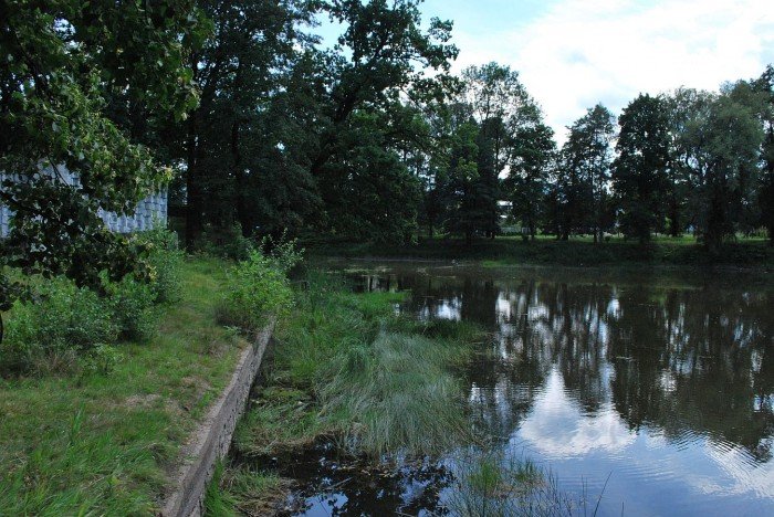 czytelnik-i-komu-to-przeszkadzao-foto-41274