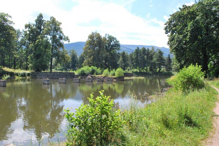 czytelnik-i-komu-to-przeszkadzao-foto-41274