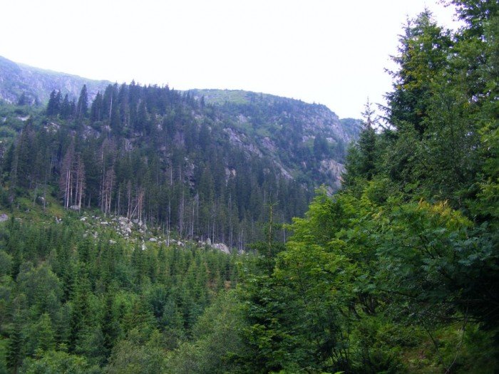 propozycja-na-weekend-poznajmy-abski-do-i-jego-wodospady-foto-41315
