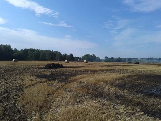 wielki-pozar-podczas-prac-zniwnych-foto-41320