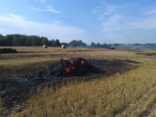 wielki-pozar-podczas-prac-zniwnych-foto-41320