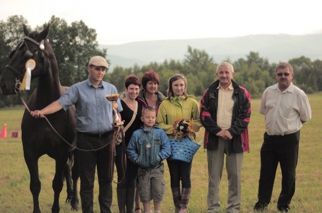 to-dopiero-bya-orka-scigay-sie-tez-konne-zaprzegi-byo-ujezdzanie-foto-41353