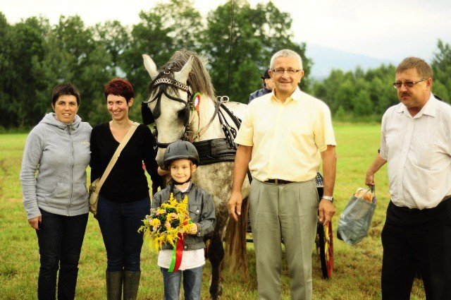 to-dopiero-bya-orka-scigay-sie-tez-konne-zaprzegi-byo-ujezdzanie-foto-41353