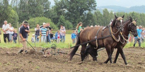 to-dopiero-bya-orka-scigay-sie-tez-konne-zaprzegi-byo-ujezdzanie-foto-41353