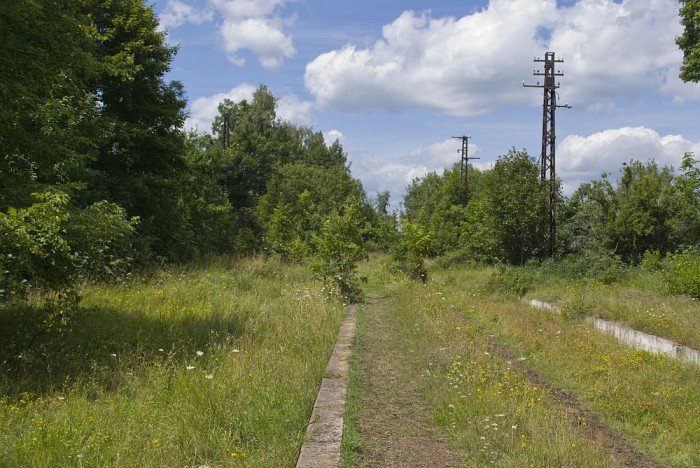 czytelnik-tak-wyglada-kolej-w-kowarach-podobnie-jest-w-wielu-miejscowosciach-foto-41518