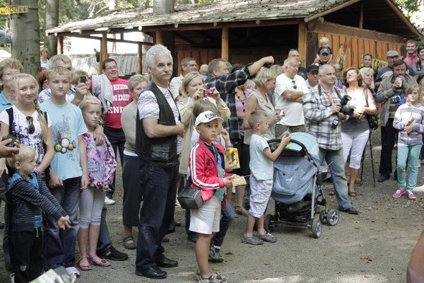objedli-sie-zeberkami-i-zdobyli-nagrody-foto-41635