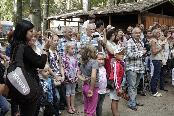 objedli-sie-zeberkami-i-zdobyli-nagrody-foto-41635