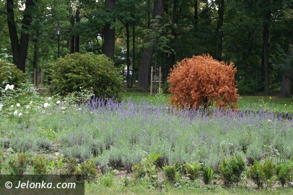 park-zdrojowy-nadal-do-poprawki-foto-41677