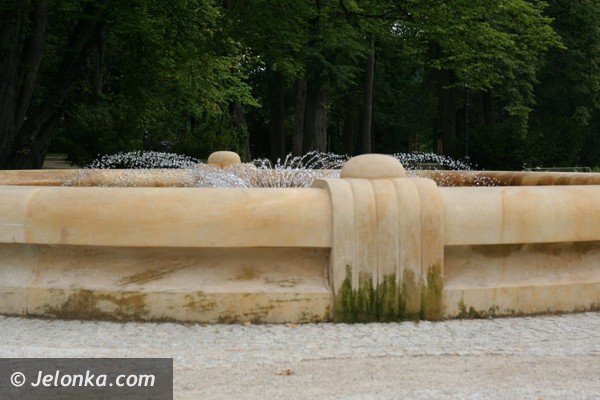 park-zdrojowy-nadal-do-poprawki-foto-41677