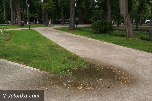 park-zdrojowy-nadal-do-poprawki-foto-41677