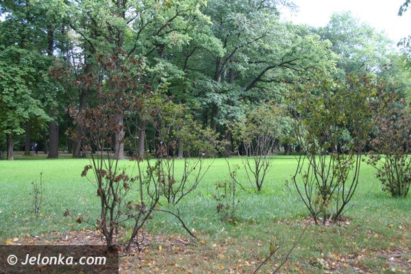 park-zdrojowy-nadal-do-poprawki-foto-41677