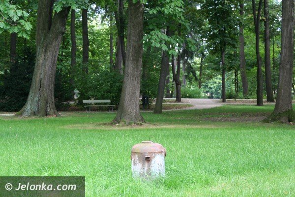 park-zdrojowy-nadal-do-poprawki-foto-41677