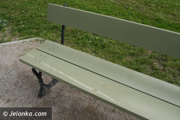 park-zdrojowy-nadal-do-poprawki-foto-41677