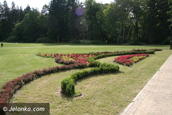 park-zdrojowy-nadal-do-poprawki-foto-41677