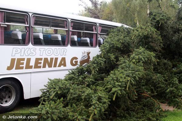 autobus-uderzy-w-karpaczu-w-skode-potem-w-mur-i-wjecha-do-ogrodu-foto-41727