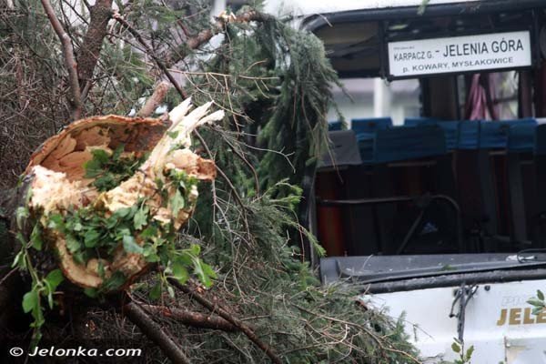 autobus-uderzy-w-karpaczu-w-skode-potem-w-mur-i-wjecha-do-ogrodu-foto-41727
