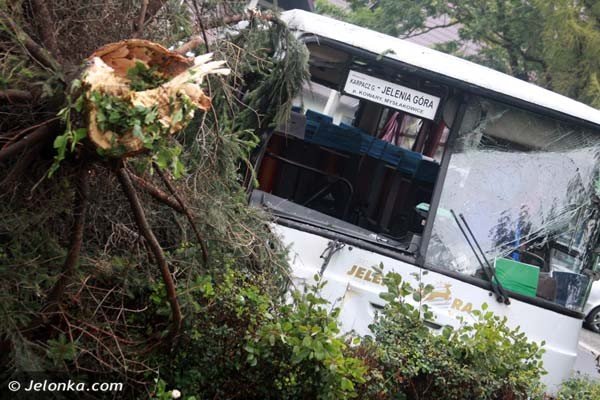 autobus-uderzy-w-karpaczu-w-skode-potem-w-mur-i-wjecha-do-ogrodu-foto-41727