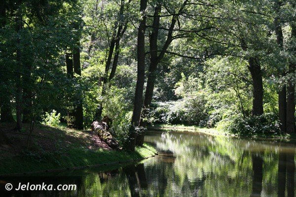 park-norweski-w-cieplicach-nabiera-blasku-foto-41734