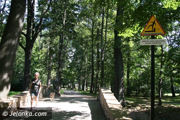 park-norweski-w-cieplicach-nabiera-blasku-foto-41734