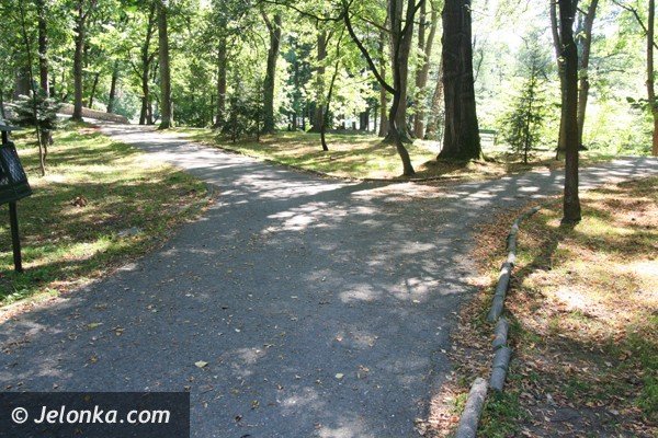 park-norweski-w-cieplicach-nabiera-blasku-foto-41734