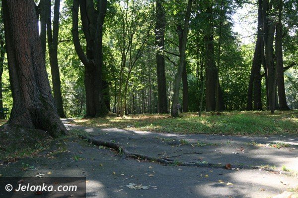 park-norweski-w-cieplicach-nabiera-blasku-foto-41734