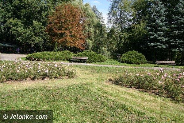 park-norweski-w-cieplicach-nabiera-blasku-foto-41734