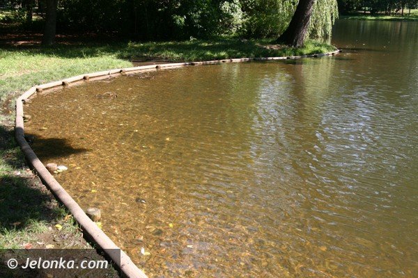 park-norweski-w-cieplicach-nabiera-blasku-foto-41734