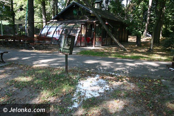 park-norweski-w-cieplicach-nabiera-blasku-foto-41734