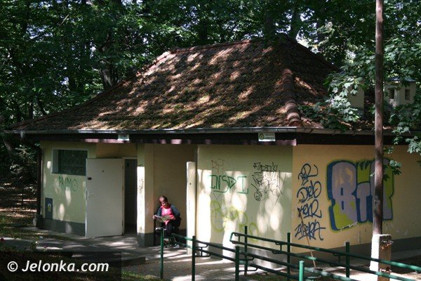 park-norweski-w-cieplicach-nabiera-blasku-foto-41734