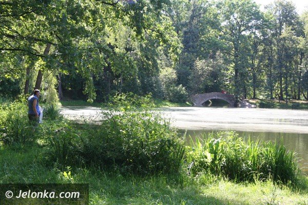 park-norweski-w-cieplicach-nabiera-blasku-foto-41734