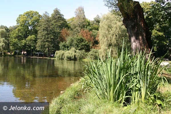 park-norweski-w-cieplicach-nabiera-blasku-foto-41734
