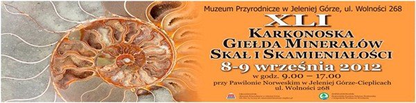 mineray-i-skamieniaosci-w-cieplicach-41826