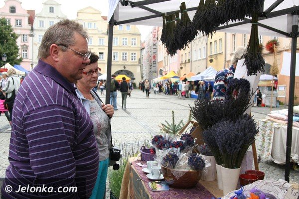 natura-z-ekologia-i-rekodzieo-na-placu-ratuszowym-foto-41858