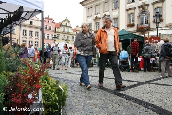 natura-z-ekologia-i-rekodzieo-na-placu-ratuszowym-foto-41858