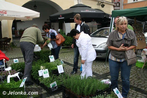 natura-z-ekologia-i-rekodzieo-na-placu-ratuszowym-foto-41858
