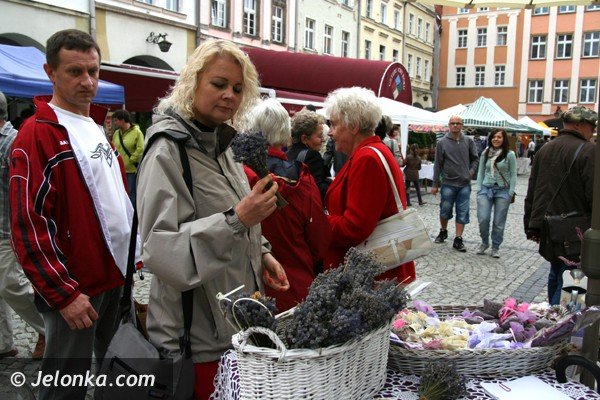 natura-z-ekologia-i-rekodzieo-na-placu-ratuszowym-foto-41858