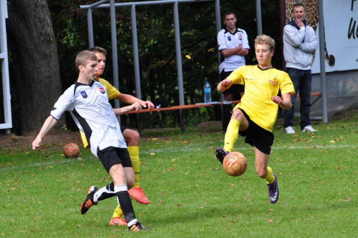 skorpiony-nie-takie-grozne-foto-42159