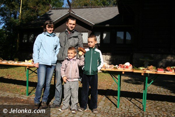 grzyby-pachnace-rzodkiewka-i-inne-okazy-na-wystawie-w-parku-norweskim-jeszcze-dzisiaj-foto-42164