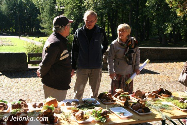 grzyby-pachnace-rzodkiewka-i-inne-okazy-na-wystawie-w-parku-norweskim-jeszcze-dzisiaj-foto-42164