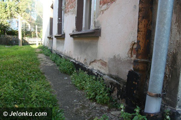 lokatorka-z-ul-kamiennej-w-piechowicach-w-tym-domu-nie-da-sie-zyc-foto-42307