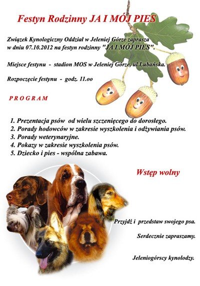 do-serca-przytul-psa-festyn-z-pupilami-w-cieplicach-42385