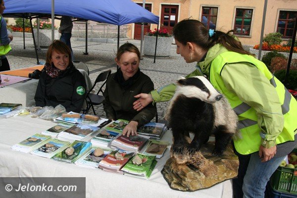 segregacja-i-recykling-odpadow-przyszoscia-swiata-foto-42408